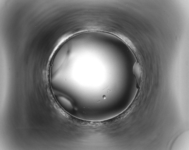 X0000085730912200703161003