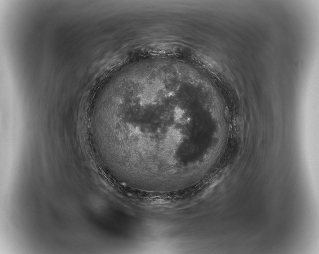 X0000085730913200703161002