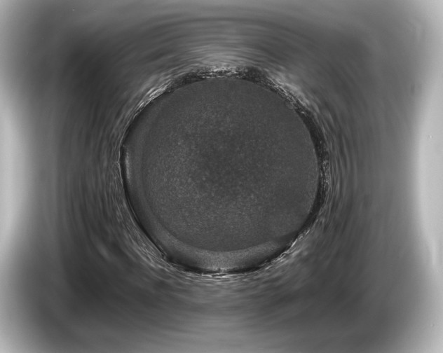 X0000085730916200703161002