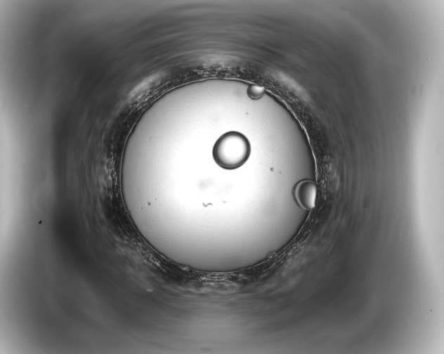 X0000085730918200703161002