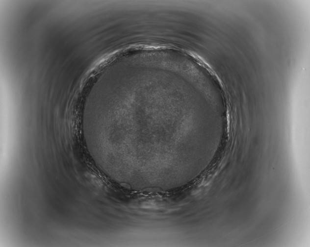 X0000085730919200703161002