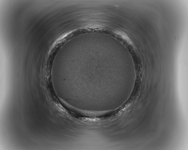 X0000085730920200703161002