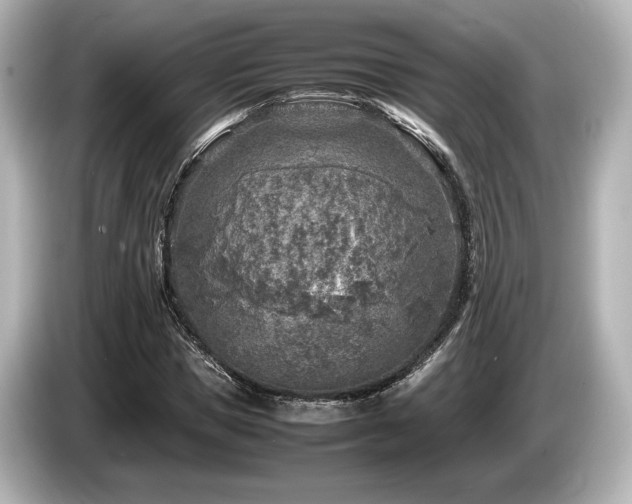 X0000085730921200703161002