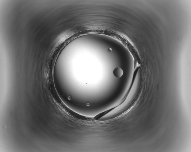 X0000085730922200703161002