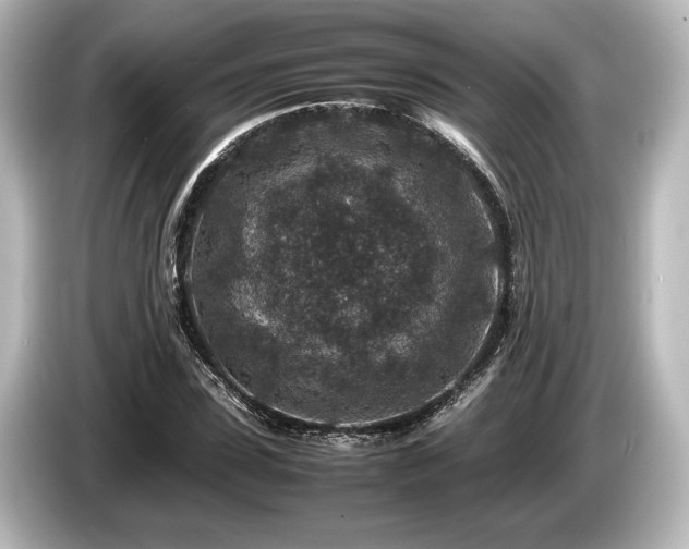 X0000085730923200703161002