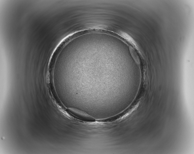 X0000085730924200703161002