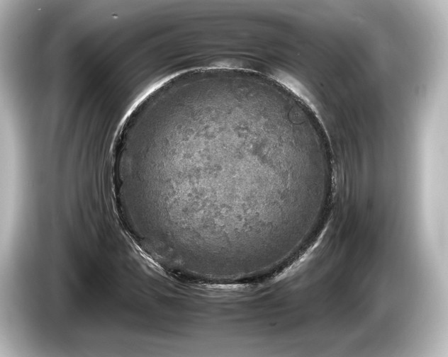 X0000085730925200703161002