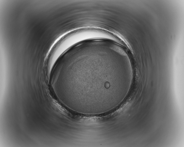 X0000085730926200703161002