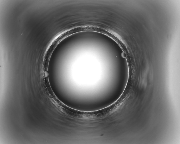 X0000085730927200703161002