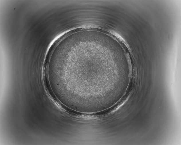 X0000085730928200703161002