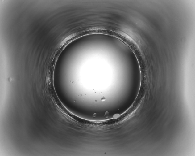 X0000085730929200703161002