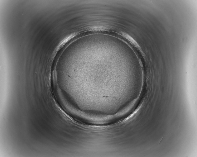 X0000085730930200703161002