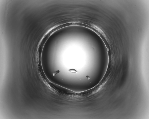 X0000085730931200703161002