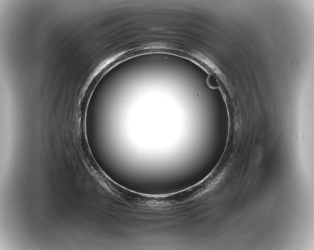 X0000085730933200703161002