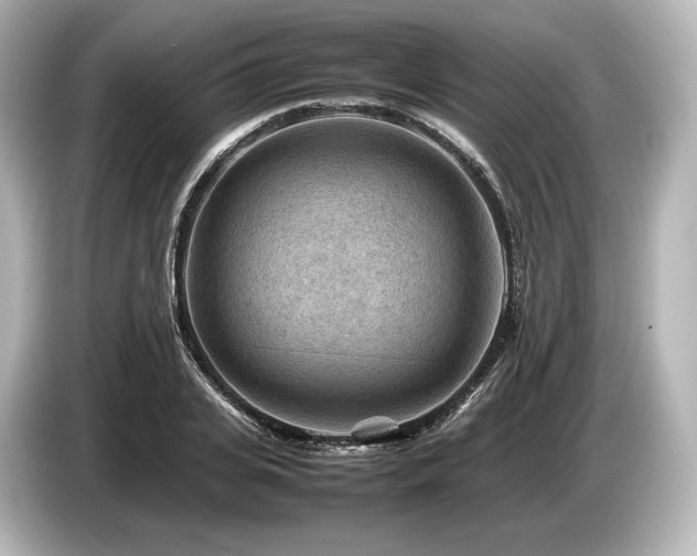 X0000085730935200703161002