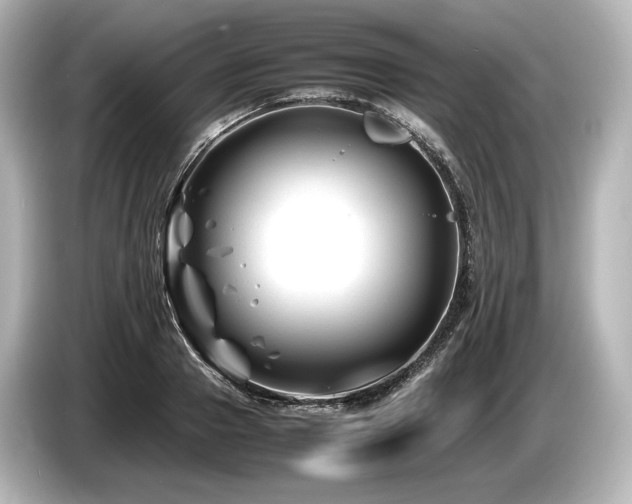 X0000085730937200703161002