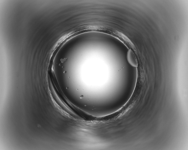 X0000085730938200703161002