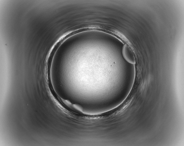 X0000085730939200703161002