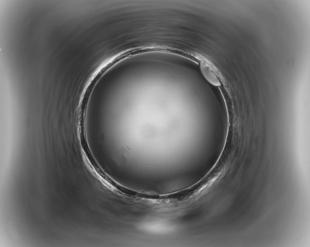 X0000085730941200703161003