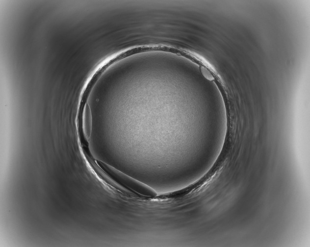 X0000085730943200703161003