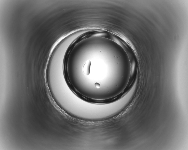 X0000085730944200703161003