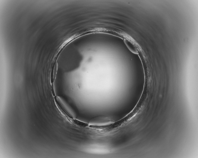 X0000085730945200703161003