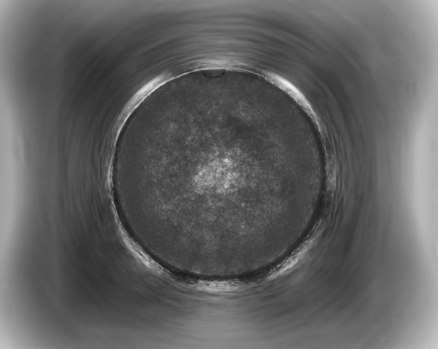 X0000085730946200703161003