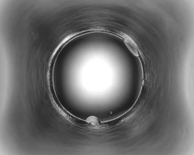 X0000085730947200703161003