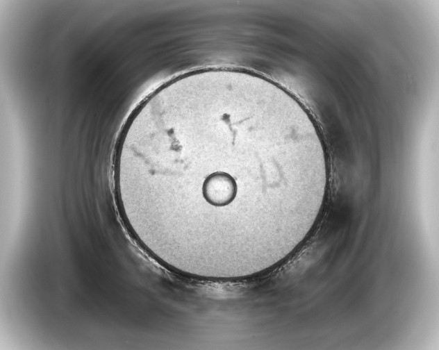 X0000085730950200703161003