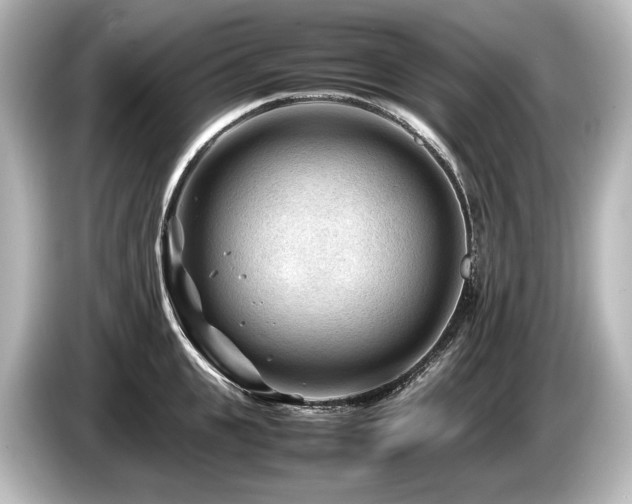 X0000085730951200703161003