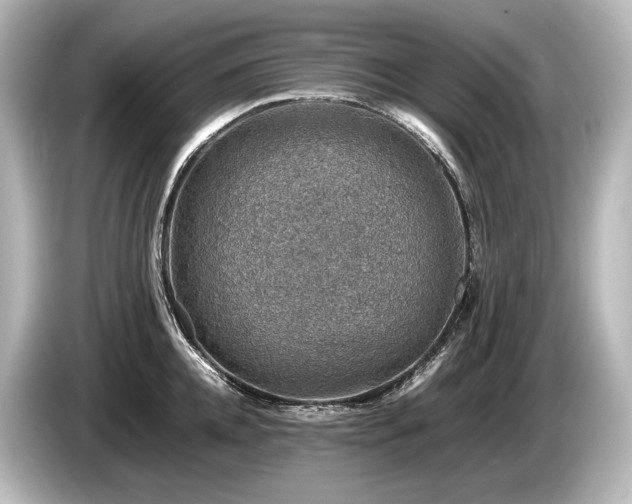 X0000085730952200703161003