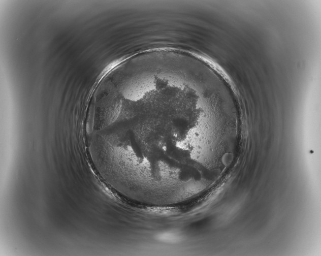 X0000085730953200703161003