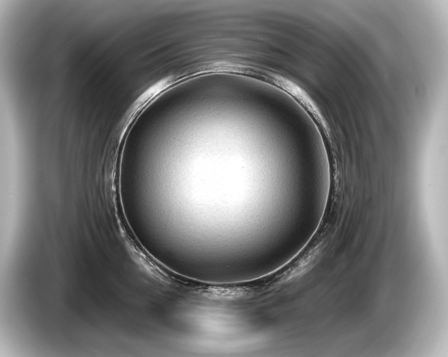 X0000085730954200703161003