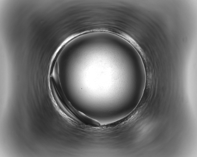 X0000085730955200703161003