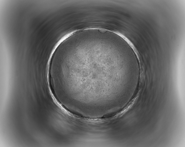 X0000085730957200703161003