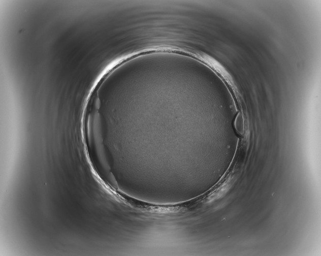 X0000085730958200703161003