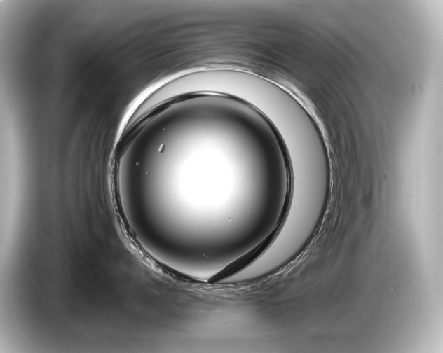 X0000085730960200703161003