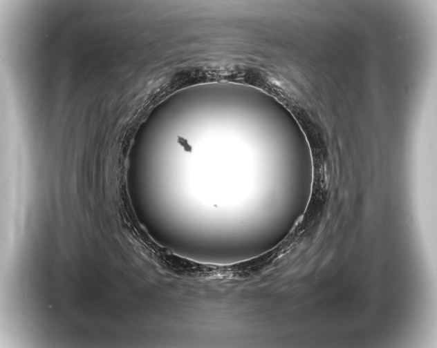 X0000085730961200703161002