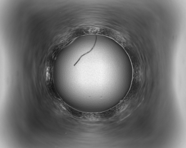 X0000085730962200703161002