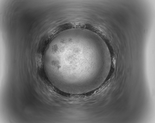 X0000085730963200703161002