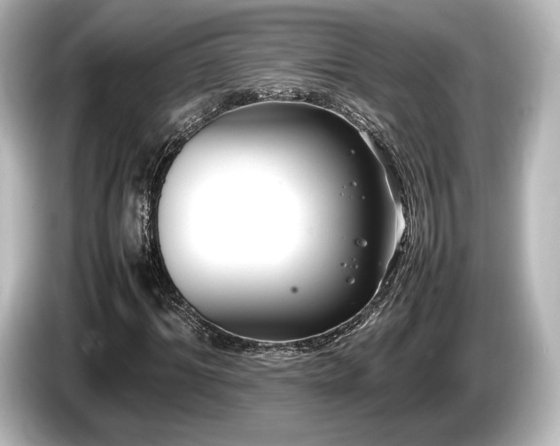 X0000085730964200703161002