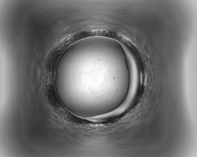 X0000085730965200703161002