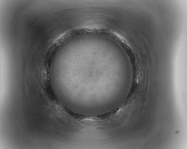 X0000085730966200703161002