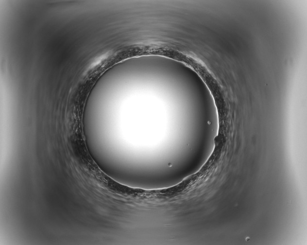 X0000085730967200703161002