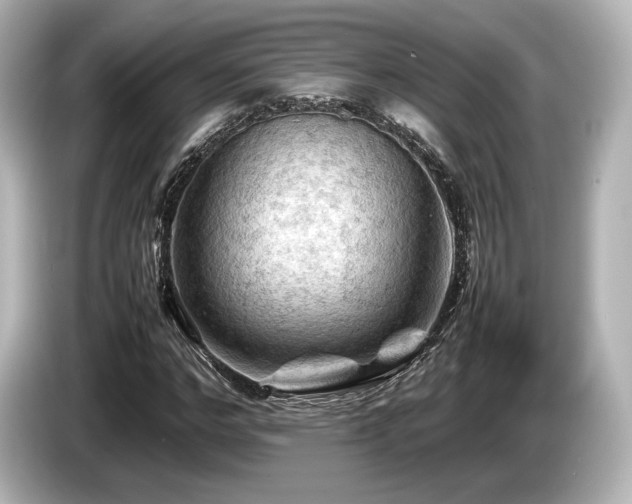 X0000085730968200703161002