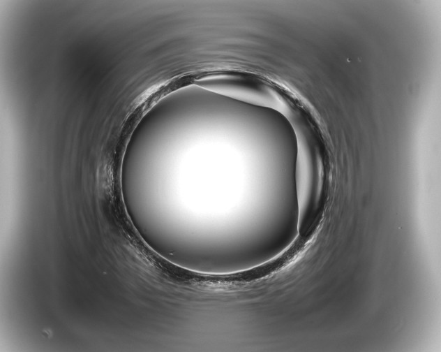 X0000085730969200703161002