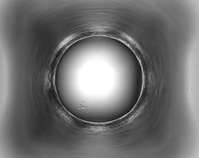 X0000085730970200703161002