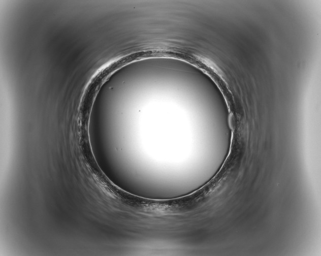 X0000085730971200703161002