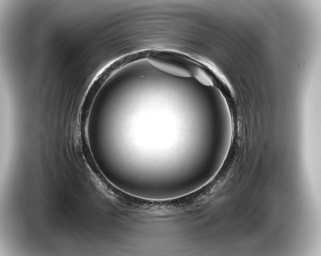 X0000085730972200703161002