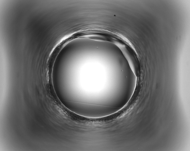 X0000085730973200703161002